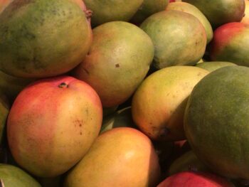 Mangoes