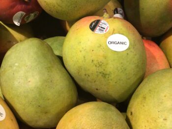 Organic Mangoes