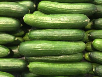 Mini Seedless Cucumber
