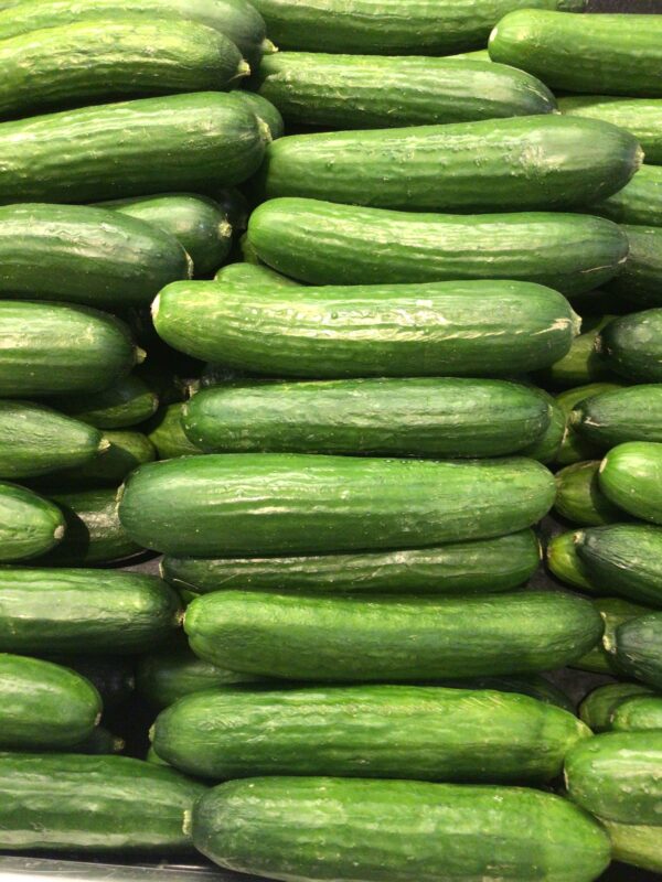 Mini Seedless Cucumber