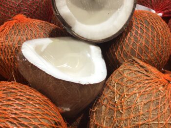 Coconut