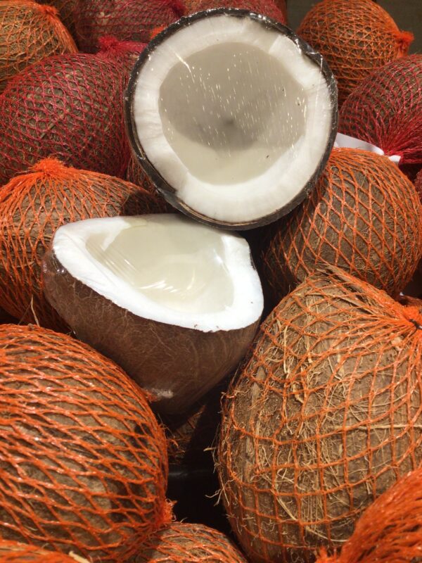 Coconut - Each