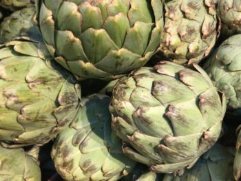 Large Artichokes