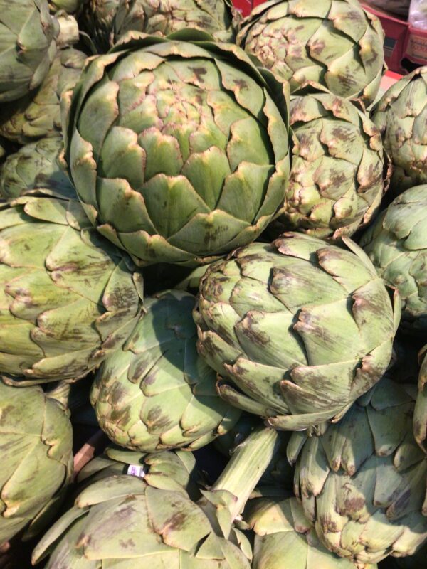 Large Artichokes