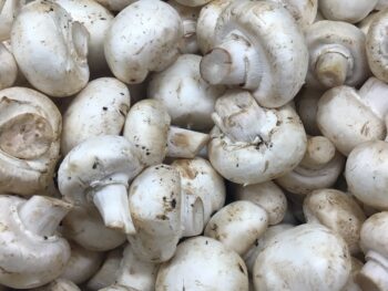 White loose Mushrooms