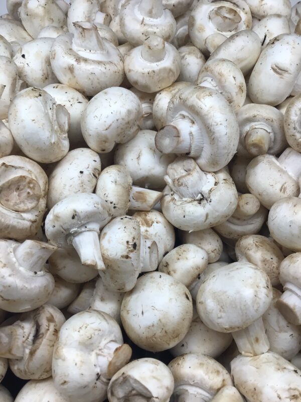 White loose Mushrooms