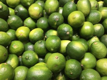 Limes