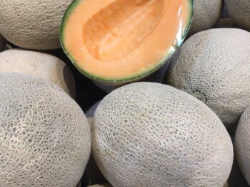 Cantaloupe - Whole