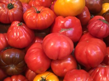 Heirloom Tomatoes - Each