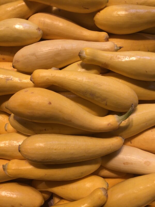Yellow Squash - Each