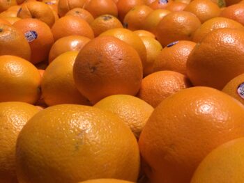 Florida Navel Oranges - Each