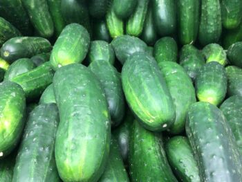 Pickling Cucumbers - Each