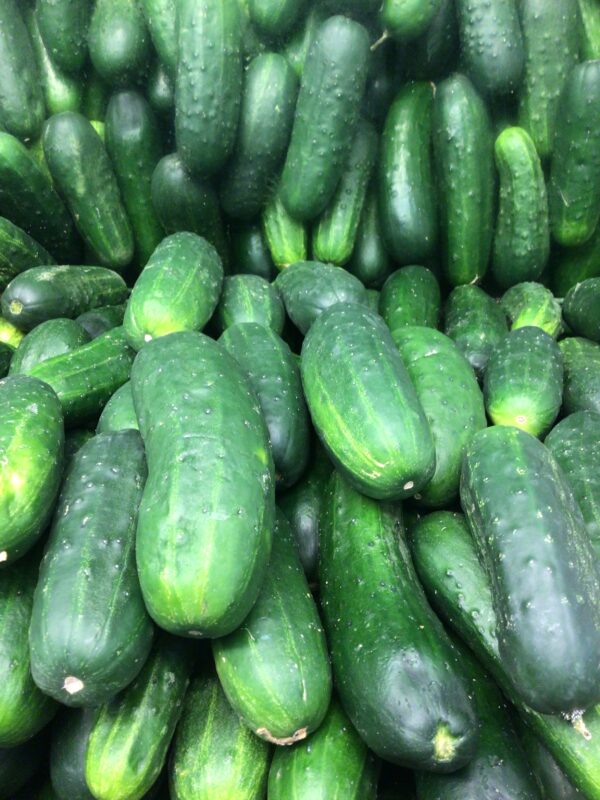 Pickling Cucumbers - Each