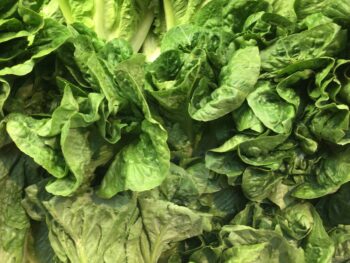 Romaine Lettuce - each