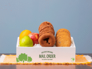 Scobeyville Sampler- Plain Donuts