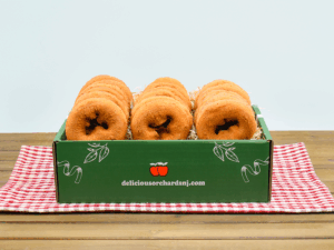 18 Plain Apple Cider Donuts