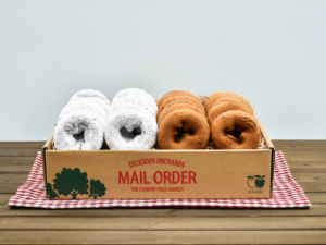 12 Plain & 12 Powdered Apple Cider Donuts